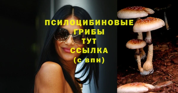молекула духа Аркадак
