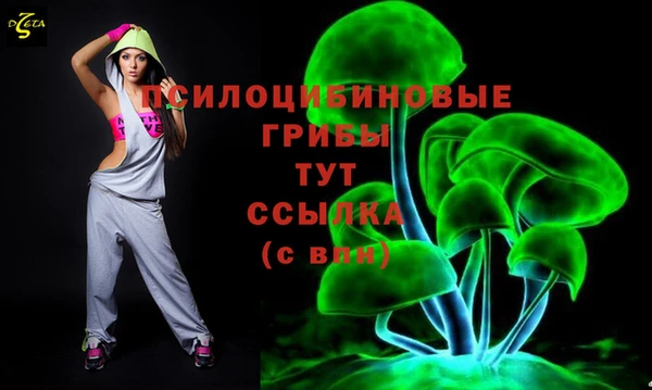 молекула духа Аркадак