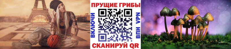 Псилоцибиновые грибы Cubensis  Белокуриха 